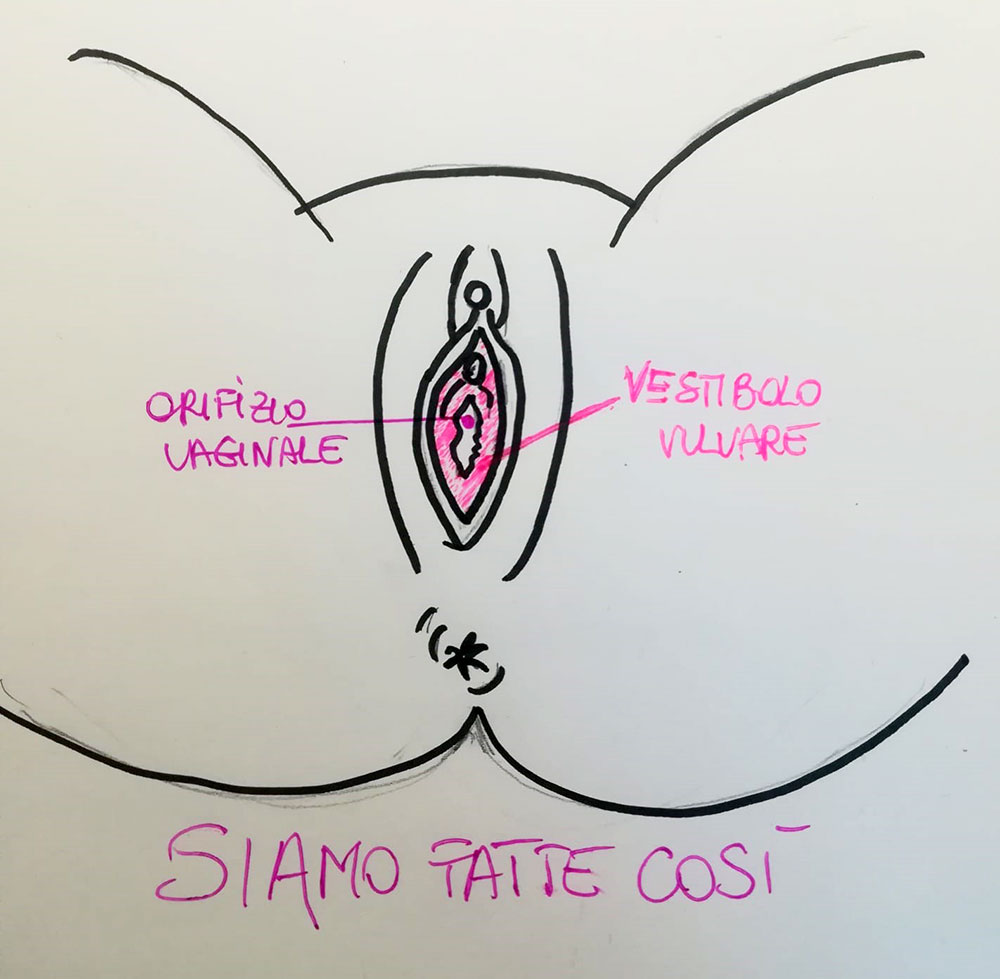 Siamo fatte così: la porta d’ingresso alla vagina il vestibolo vaginale